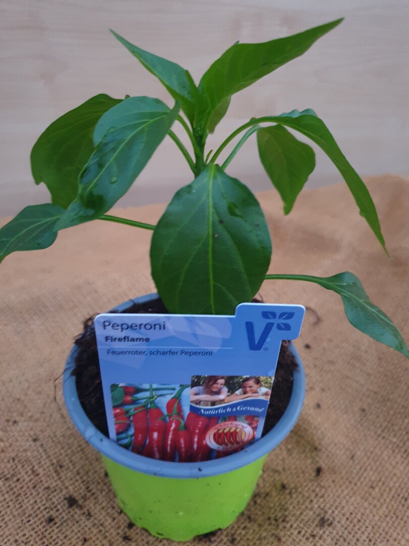 Peperoni Fireflame